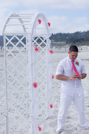 Cristy & Terrance's Carmel Beach Wedding