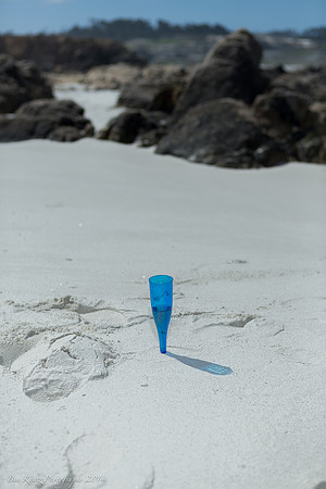 Alana & Cameron's Pebble Beach Wedding