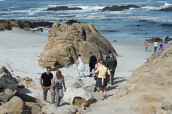 Alana & Cameron's Pebble Beach Wedding
