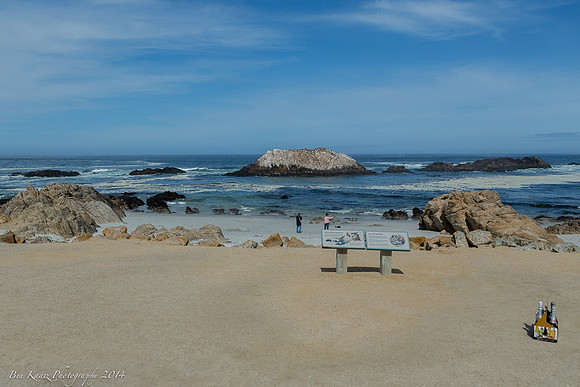 Alana & Cameron's Pebble Beach Wedding